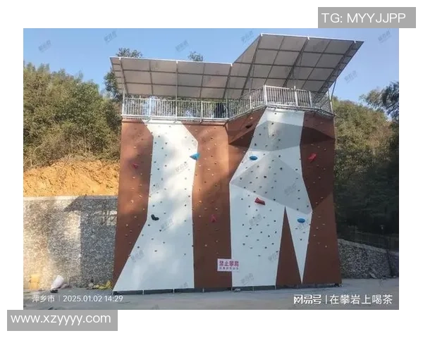 西安攀岩队战术分析与训练方法探讨助力攀登水平提升