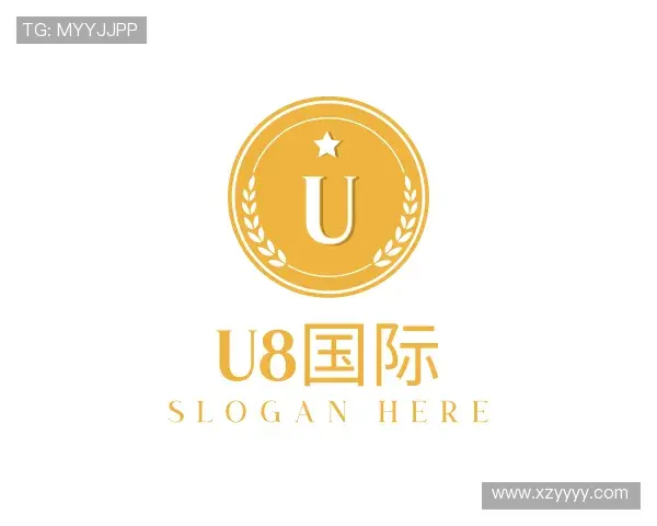 解读U8国际